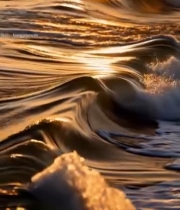  夕阳下大海翻涌的海浪277#竖屏 	 