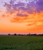  田野上飞行的无人机5062#竖屏 	 