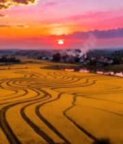  田野夕阳乡村全景6855#竖屏 	 