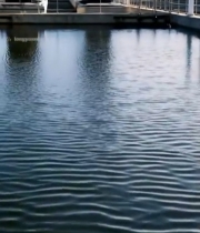  污水处理厂水池水面景象1104#竖屏 	 