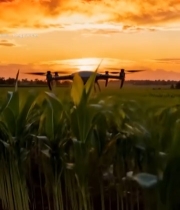  无人机飞行于田野上空7837#竖屏 	 