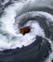  水中漩涡浪花景象4016#竖屏 	 