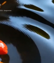  水中漂浮的枸杞特写5286#竖屏 	 