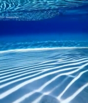  水下清澈海水与波浪景象78#竖屏 	 