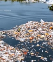  水面漂浮塑料垃圾场景3171#竖屏 	 