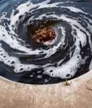  水池中旋转水流与漂浮物5590#竖屏 	 