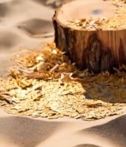  树桩特写及木屑素材7054#竖屏 	 