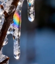  树枝冰凌特写素材3018#竖屏 	 