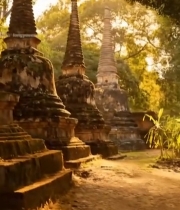  树林中的古老佛塔659#竖屏 	 