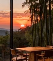  室内透过玻璃看日落竹林景色3880#竖屏 	 