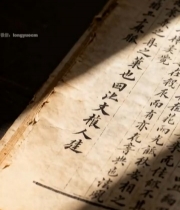  手抚古籍书页特写3858#竖屏 	 