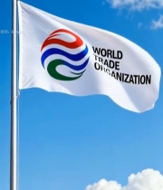  世界贸易组织旗帜飘扬(1)6201#竖屏 	 