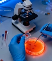  实验室科研人员操作培养皿3064#竖屏 	 