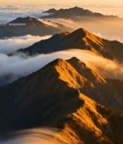  山峦云海日出风光3057#竖屏 	 