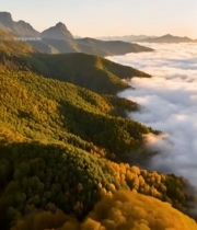  山林云海自然风光俯瞰7616#竖屏 	 