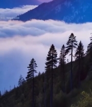  山峦云海间的壮丽日出1219#竖屏 	 