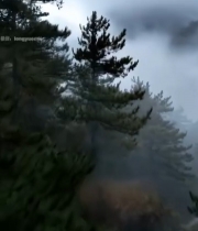  山林间徒步者背影475#竖屏 	 