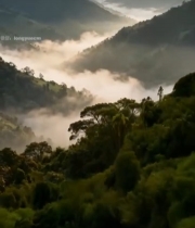  山间云雾缭绕自然风光(1)1015#竖屏 	 