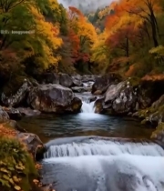  山间溪流秋日多彩树林景观4114#竖屏 	 