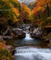  山间溪流秋日多彩树林景观4114#竖屏 	 
