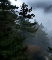  山林间徒步者背影475#竖屏 	 