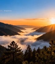  山林云海日出全景6758#竖屏 	 