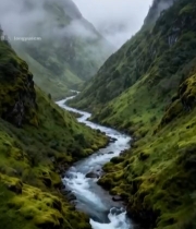  山间溪流云雾缭绕自然景观1871#竖屏 	 