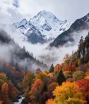  山间秋景溪流与雪山风光5220#竖屏 	 