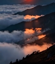  山间日出云海景观1220#竖屏 	 