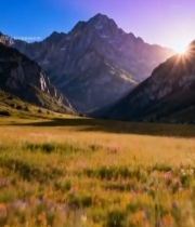  山间花海日出全景4580#竖屏 	 