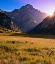  山间花海日出全景4580#竖屏 	 