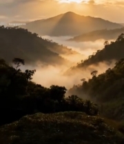  山间日出云雾缭绕景象949#竖屏 	 