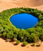  沙漠中绿洲的鸟瞰景象4313#竖屏 	 