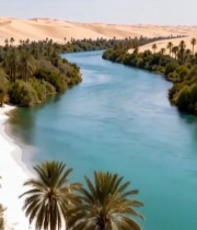  沙漠中河流与棕榈树景观5841#竖屏 	 