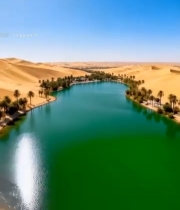  沙漠中的绿洲景观2112#竖屏 	 