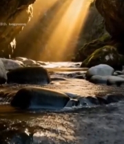  山谷溪流阳光照射景象4888#竖屏 	 
