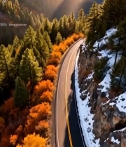  山间公路秋景航拍5414#竖屏 	 