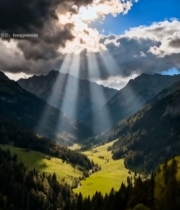  山谷森林自然风光3098#竖屏 	 