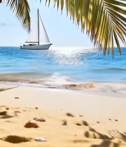  沙滩贝壳与海上帆船景象3046#竖屏 	 