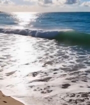  沙滩粉色花卉与海浪景观2994#竖屏 	 