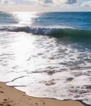  沙滩粉色花卉与海浪景观2994#竖屏 	 