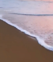  沙滩海浪日落自然风光705#竖屏 	 