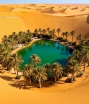  沙漠中的绿洲景观(1)4158#竖屏 	 