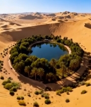  沙漠中的绿洲全景(1)7840#竖屏 	 