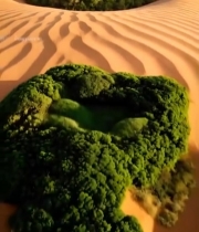  沙漠中的绿洲景象3178#竖屏 	 