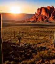  沙漠仙人掌与红色山峦风光1011#竖屏 	 