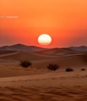  沙漠夕阳全景(1)1735#竖屏 	 