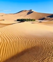  沙漠沙丘自然风光(3)6134#竖屏 	 