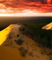  沙漠与森林交界处壮丽景观5659#竖屏 	 