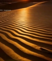  沙漠夕阳下的沙丘景观773#竖屏 	 